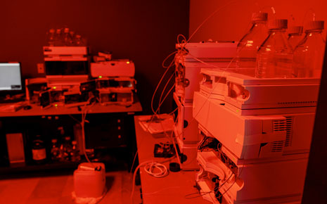red lab